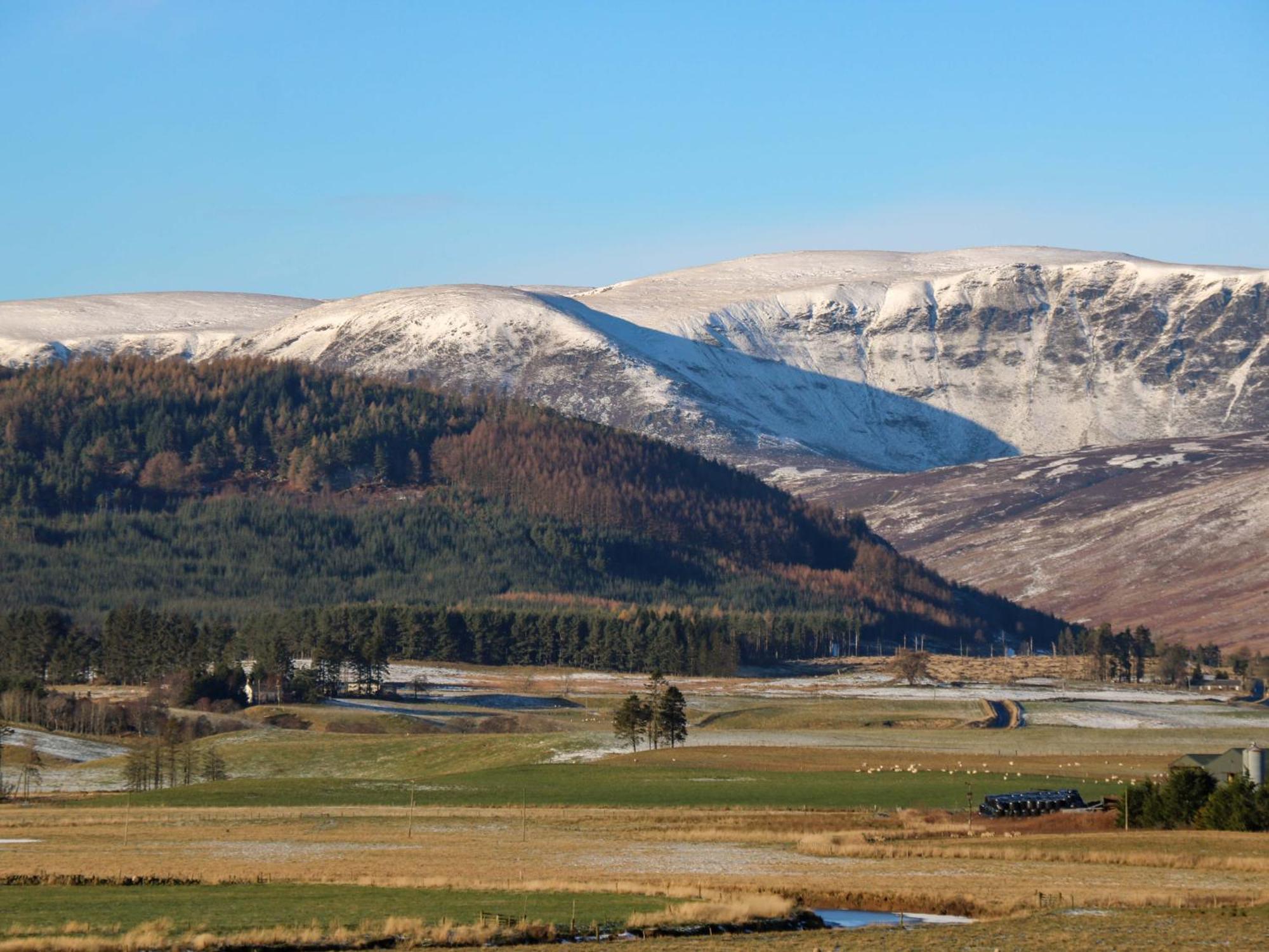 The Bothy Villa Kirriemuir Luaran gambar